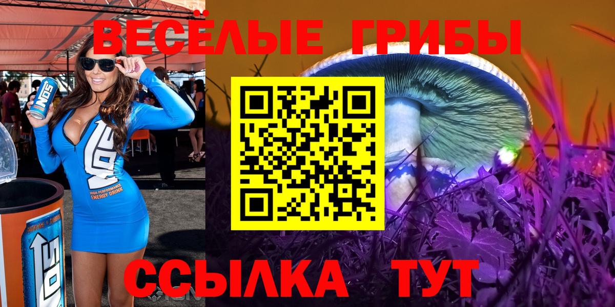Псилоцибиновые грибы Psilocybe  Вход с VPN  Архангельск 